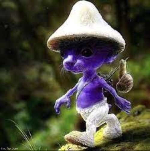 smurf cat | image tagged in smurf cat | made w/ Imgflip meme maker
