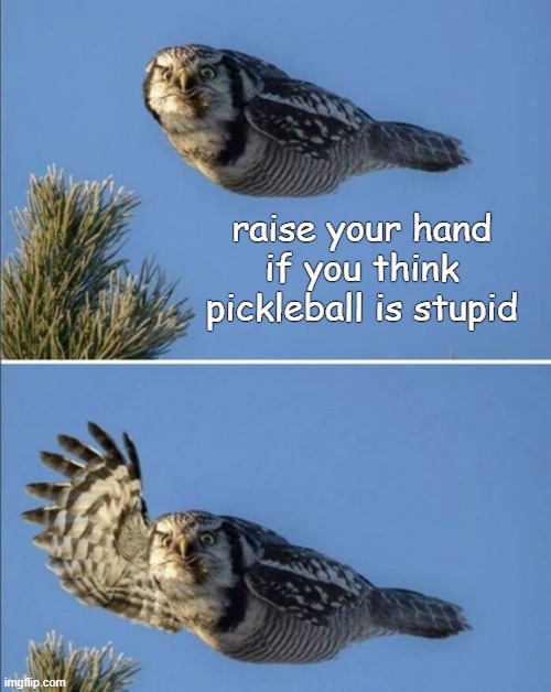 raise your hand if you think pickleball is stupid | made w/ Imgflip meme maker