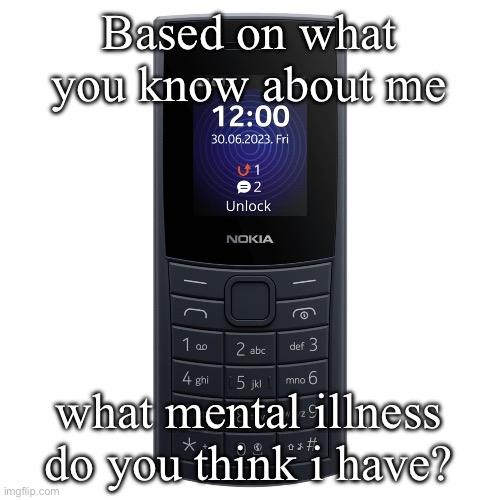 nokia 110 4g | Based on what you know about me; what mental illness do you think i have? | image tagged in nokia 110 4g | made w/ Imgflip meme maker