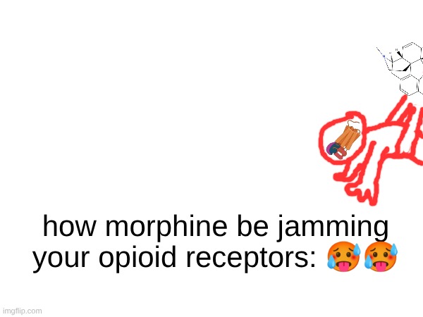how morphine be jamming your opioid receptors: 🥵🥵 | made w/ Imgflip meme maker