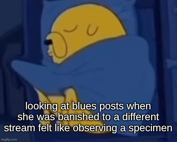 analyzing a lower life form | looking at blues posts when she was banished to a different stream felt like observing a specimen | image tagged in im jaking it | made w/ Imgflip meme maker