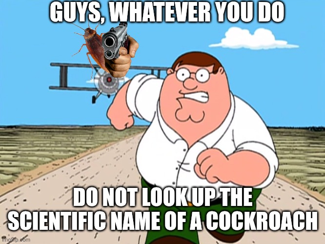 Peter Griffin running away | GUYS, WHATEVER YOU DO; DO NOT LOOK UP THE SCIENTIFIC NAME OF A COCKROACH | image tagged in peter griffin running away | made w/ Imgflip meme maker