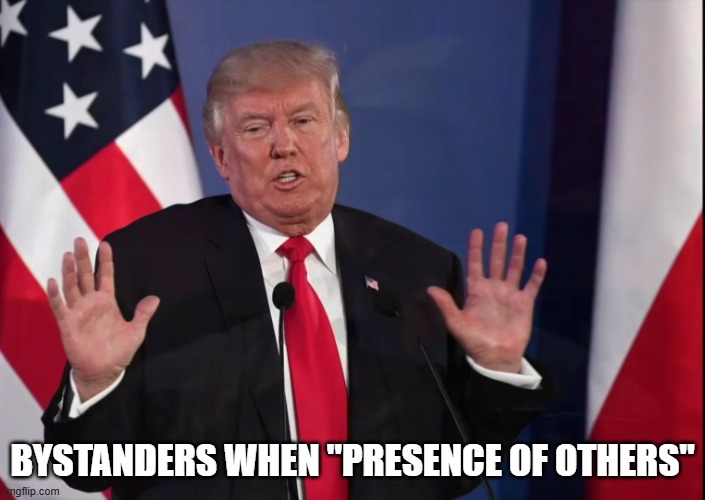 Prosocial behaviour - presence of others | BYSTANDERS WHEN "PRESENCE OF OTHERS" | image tagged in trump not my problem | made w/ Imgflip meme maker