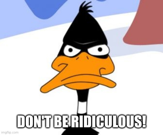 Daffy Duck not amused | DON'T BE RIDICULOUS! | image tagged in daffy duck not amused | made w/ Imgflip meme maker