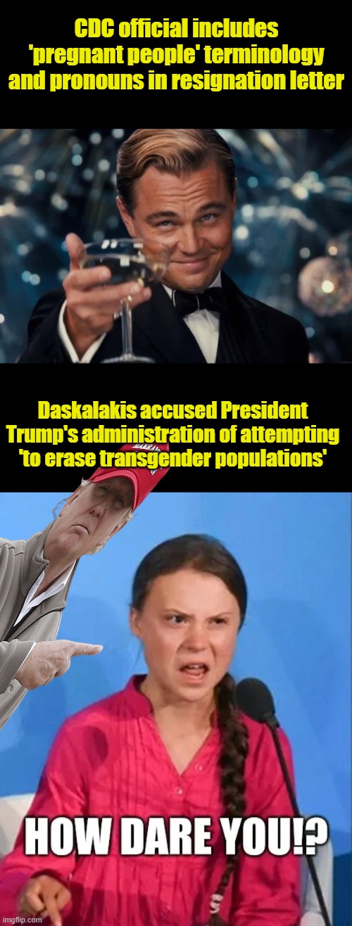 CDC official includes 'pregnant people' terminology and pronouns in resignation letter; Daskalakis accused President Trump's administration of attempting 'to erase transgender populations' | image tagged in memes,leonardo dicaprio cheers | made w/ Imgflip meme maker