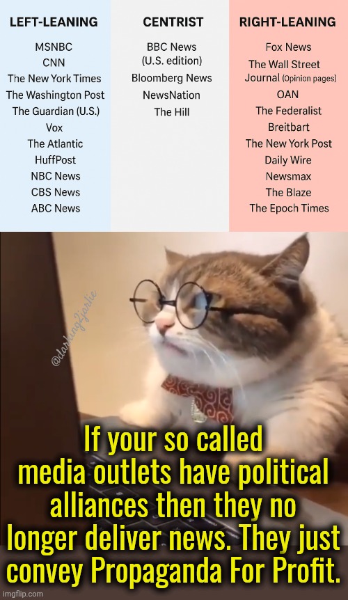 Propaganda | @darking2jarlie; If your so called media outlets have political alliances then they no longer deliver news. They just convey Propaganda For Profit. | image tagged in research cat,fake news,news,media,biased media,liberals | made w/ Imgflip meme maker