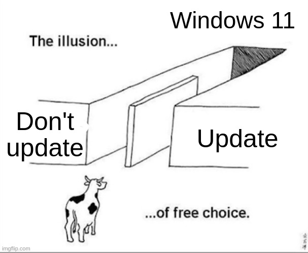 Illusion of free choice | Windows 11; Don't update; Update | image tagged in illusion of free choice | made w/ Imgflip meme maker