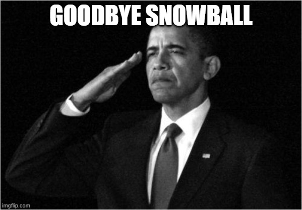 obama-salute | GOODBYE SNOWBALL | image tagged in obama-salute | made w/ Imgflip meme maker