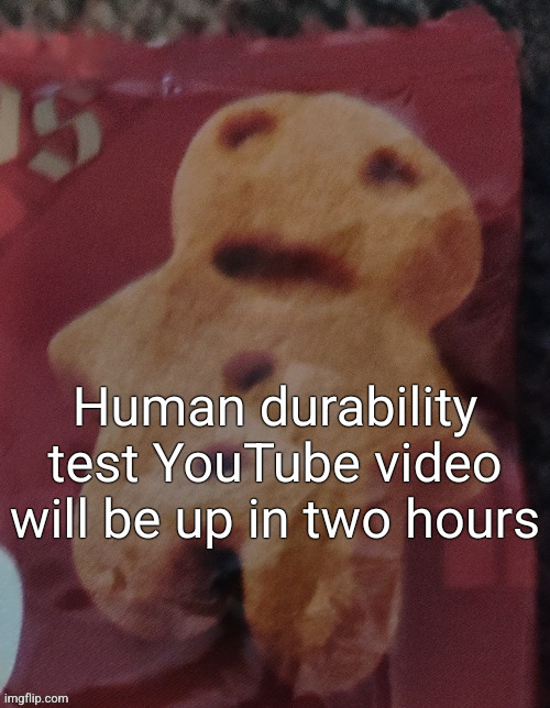 Cookie | Human durability test YouTube video will be up in two hours | image tagged in cookie | made w/ Imgflip meme maker