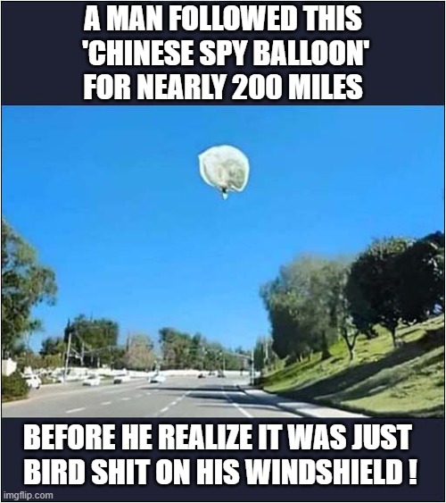 A Severe Case Of Human Stupidity ? | A MAN FOLLOWED THIS
 'CHINESE SPY BALLOON' FOR NEARLY 200 MILES; BEFORE HE REALIZE IT WAS JUST 
BIRD SHIT ON HIS WINDSHIELD ! | image tagged in human stupidity,bird shit,optical illusion | made w/ Imgflip meme maker