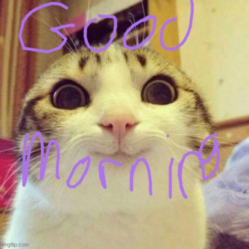 Smiling Cat | image tagged in memes,smiling cat | made w/ Imgflip meme maker