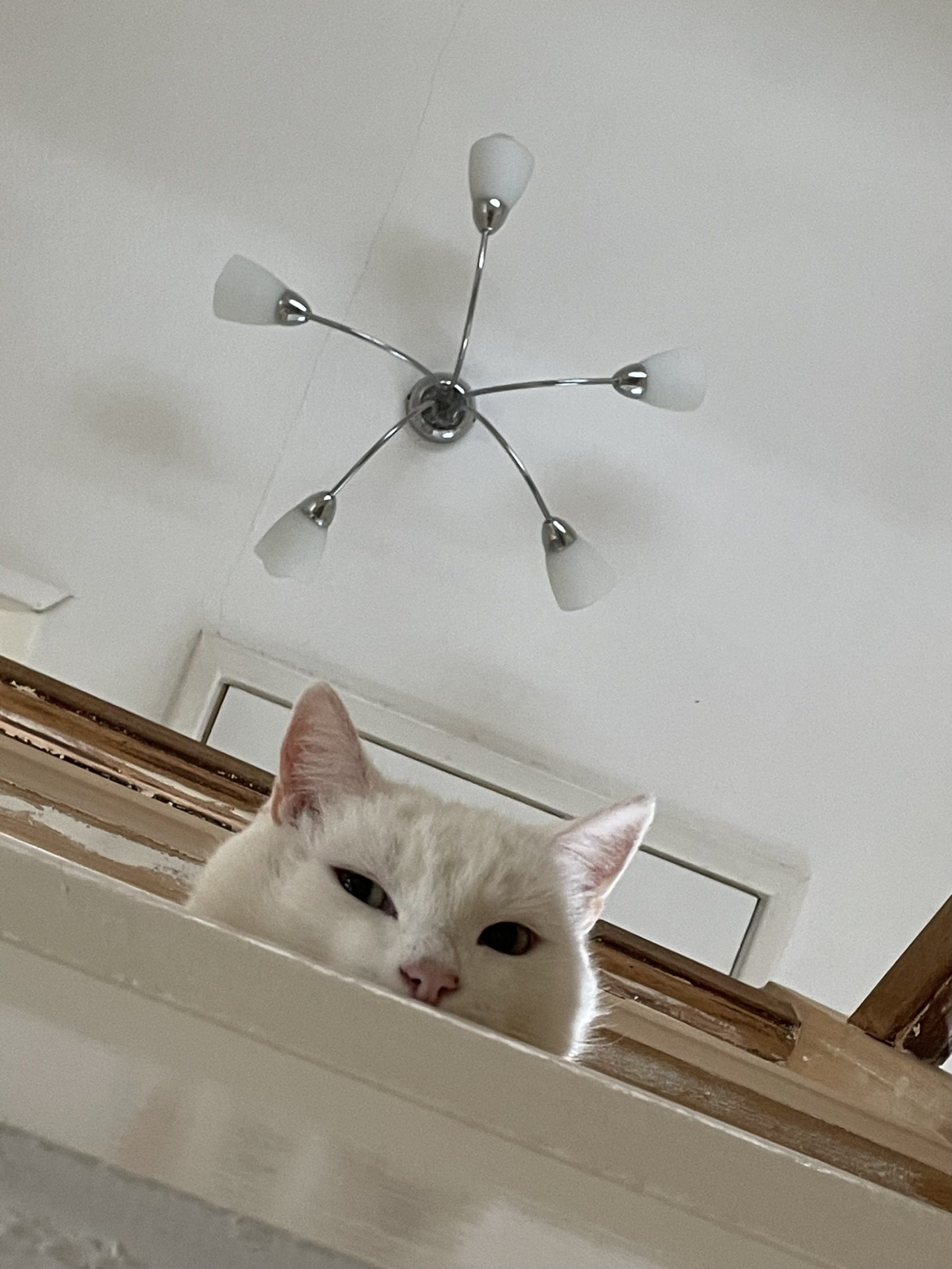 Yeah. I see you. Blank Meme Template