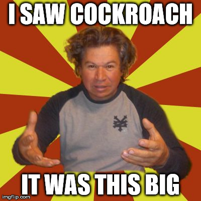 Crazy Hispanic Man | I SAW COCKROACH IT WAS THIS BIG | image tagged in memes,crazy hispanic man | made w/ Imgflip meme maker