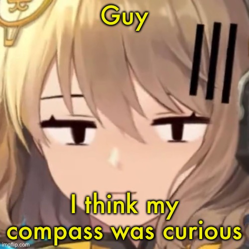 Here their go | Guy; I think my compass was curious | image tagged in anis | made w/ Imgflip meme maker