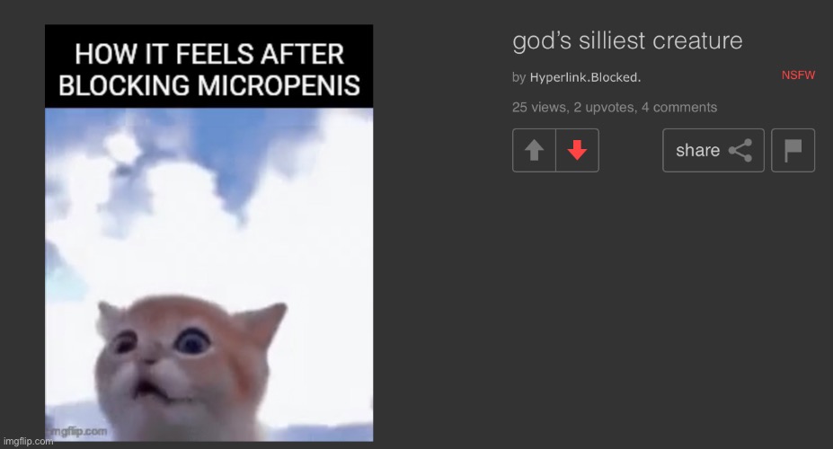 Reminder that this is the muffin who yapped about „blocking is for pussies“ a while ago | made w/ Imgflip meme maker