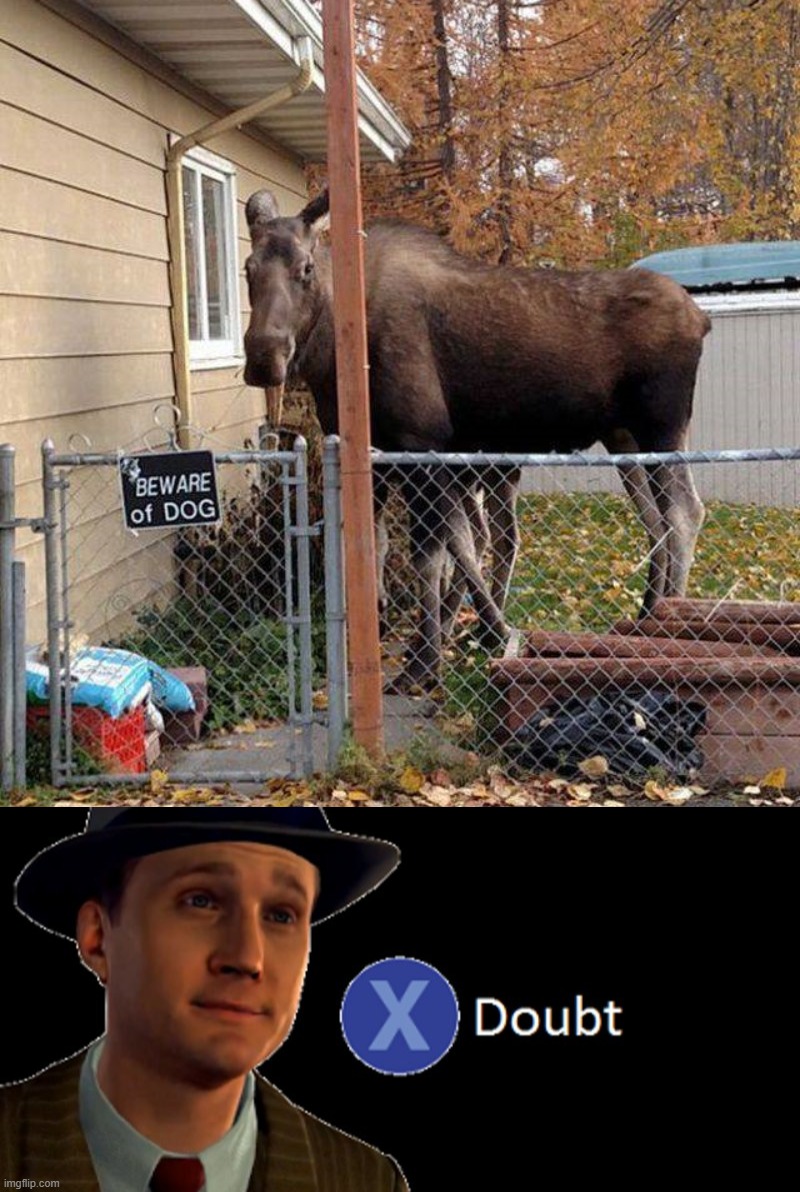 image tagged in l a noire press x to doubt | made w/ Imgflip meme maker