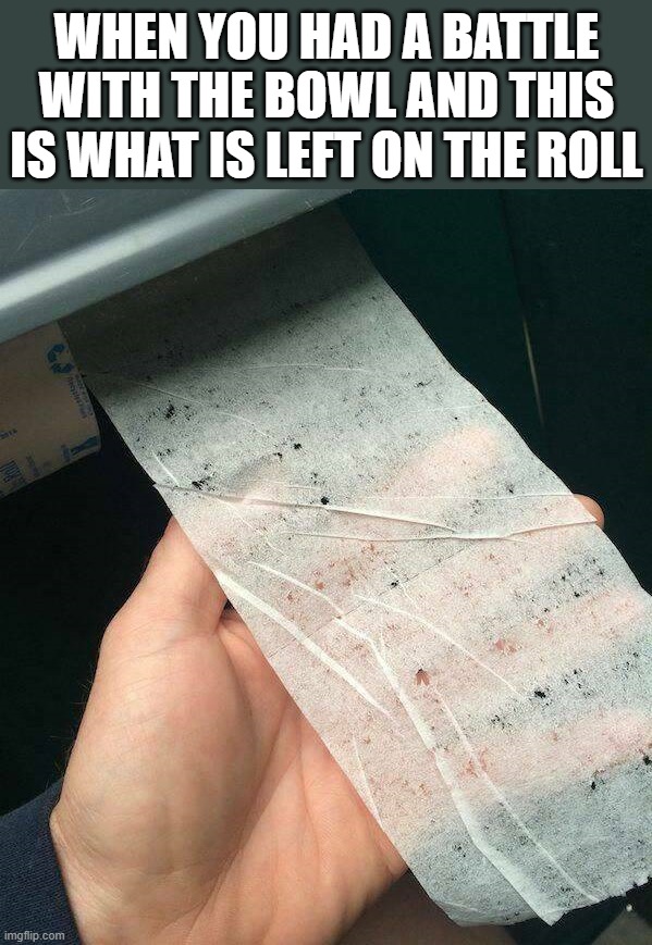 WHEN YOU HAD A BATTLE WITH THE BOWL AND THIS IS WHAT IS LEFT ON THE ROLL | image tagged in bathroom | made w/ Imgflip meme maker