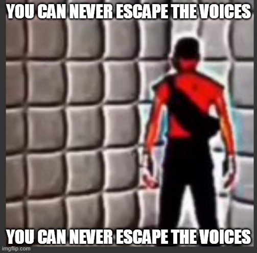 Scout goes insane | YOU CAN NEVER ESCAPE THE VOICES; YOU CAN NEVER ESCAPE THE VOICES | image tagged in scout goes insane | made w/ Imgflip meme maker