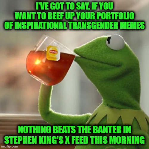 I'm Probably Giving Away my Secrets in this, But | I'VE GOT TO SAY, IF YOU WANT TO BEEF UP YOUR PORTFOLIO OF INSPIRATIONAL TRANSGENDER MEMES; NOTHING BEATS THE BANTER IN STEPHEN KING'S X FEED THIS MORNING | image tagged in memes,but that's none of my business,kermit the frog | made w/ Imgflip meme maker