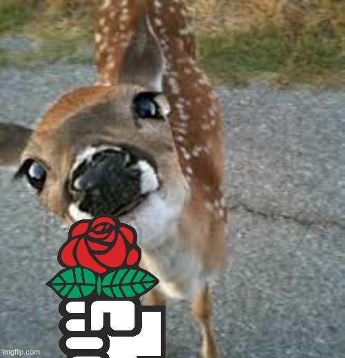 image tagged in ashercore | made w/ Imgflip meme maker