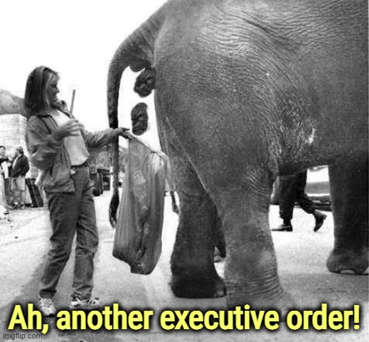From criminal headquarters in the Oval Office. | Ah, another executive order! | image tagged in republican elephant dropping poop pro-trump propaganda,trump,executive orders,donald trump executive order,elephant | made w/ Imgflip meme maker