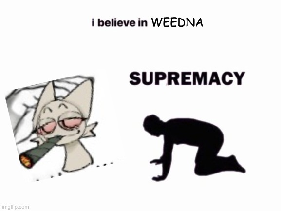 WEEDNA | image tagged in i believe in blank supremacy | made w/ Imgflip meme maker