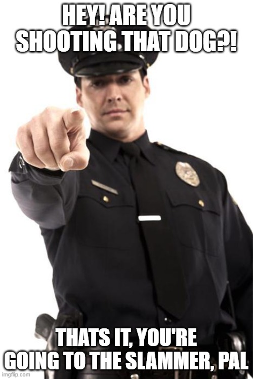 Police | HEY! ARE YOU SHOOTING THAT DOG?! THATS IT, YOU'RE GOING TO THE SLAMMER, PAL | image tagged in police | made w/ Imgflip meme maker