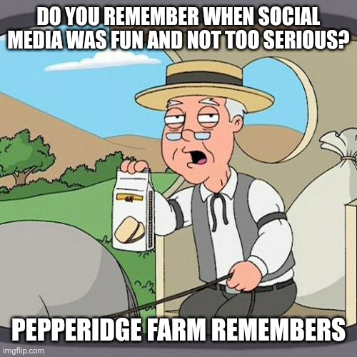 The good ol days | DO YOU REMEMBER WHEN SOCIAL MEDIA WAS FUN AND NOT TOO SERIOUS? PEPPERIDGE FARM REMEMBERS | image tagged in memes,pepperidge farm remembers | made w/ Imgflip meme maker
