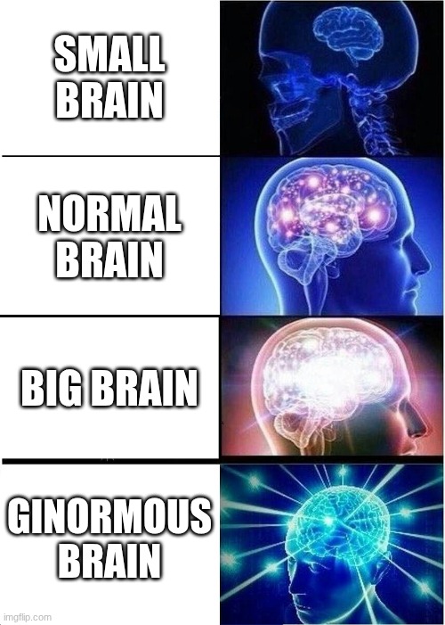 e | SMALL BRAIN; NORMAL BRAIN; BIG BRAIN; GINORMOUS BRAIN | image tagged in memes,expanding brain | made w/ Imgflip meme maker