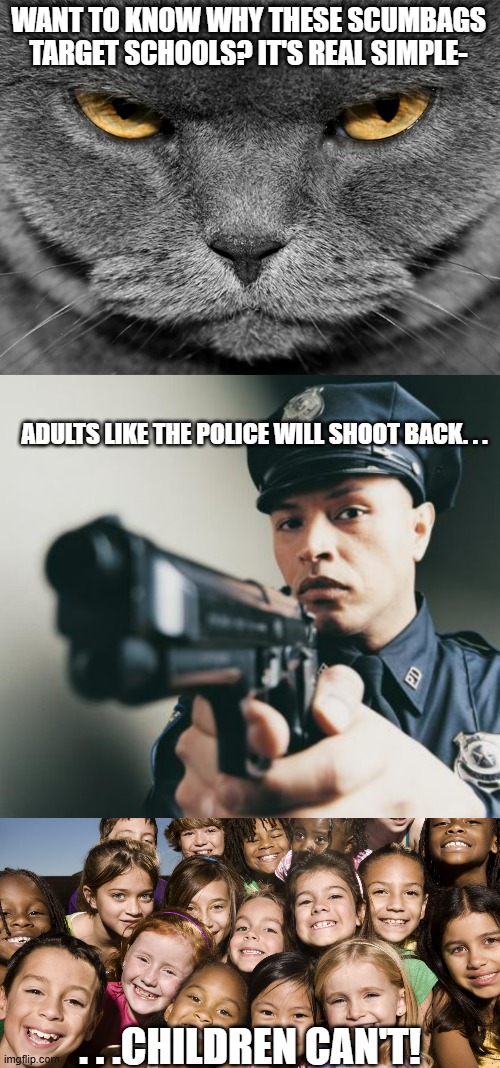 Notice they never try to shoot up a police or ICE HQ. | WANT TO KNOW WHY THESE SCUMBAGS TARGET SCHOOLS? IT'S REAL SIMPLE-; ADULTS LIKE THE POLICE WILL SHOOT BACK. . . . . .CHILDREN CAN'T! | image tagged in grumpy graey cat,police man with a gun,happy children,school shooter,political meme,meme | made w/ Imgflip meme maker