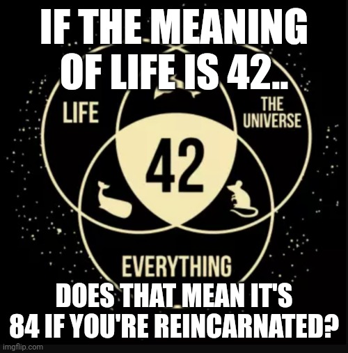 The Meaning Of Life | IF THE MEANING OF LIFE IS 42.. DOES THAT MEAN IT'S 84 IF YOU'RE REINCARNATED? | image tagged in 42,reincarnation | made w/ Imgflip meme maker