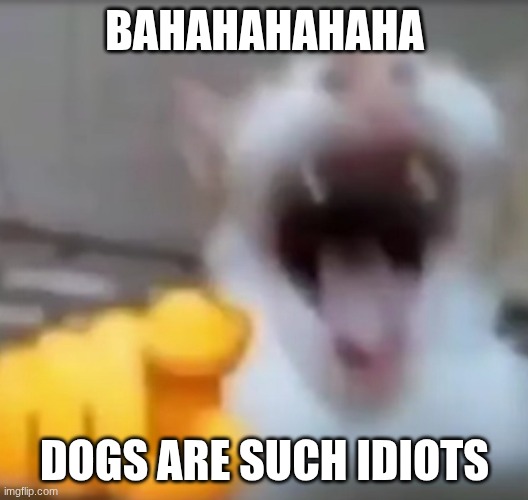 Cat pointing and laughing | BAHAHAHAHAHA DOGS ARE SUCH IDIOTS | image tagged in cat pointing and laughing | made w/ Imgflip meme maker