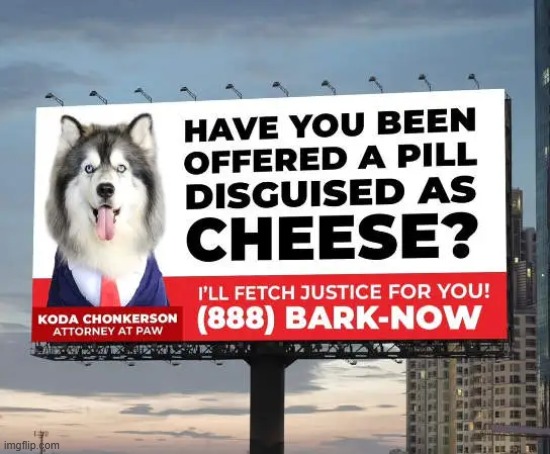 Next in Line for Justice | image tagged in deception,litigation,lawsuit,humor,dogs,justice | made w/ Imgflip meme maker
