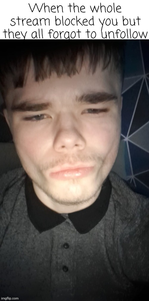 Emosnake jawline | When the whole stream blocked you but they all forgot to unfollow | image tagged in emosnake jawline | made w/ Imgflip meme maker
