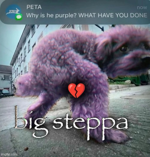 rain rain go away | 💔 | image tagged in big steppa | made w/ Imgflip meme maker