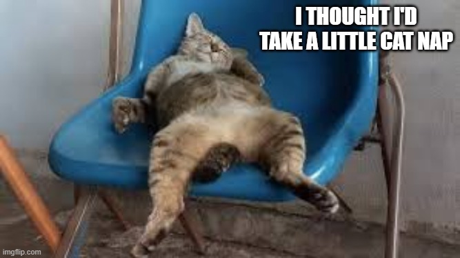 This cat thought he'd take a little cat nap.   - humor - | I THOUGHT I'D TAKE A LITTLE CAT NAP | image tagged in cats,funny,kittens,humor,nap,sleep | made w/ Imgflip meme maker