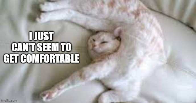 Cat can't seem to get comfortable.   - funny - | I JUST CAN'T SEEM TO GET COMFORTABLE | image tagged in cats,funny,kittens,humor,uncomfortable,nap | made w/ Imgflip meme maker