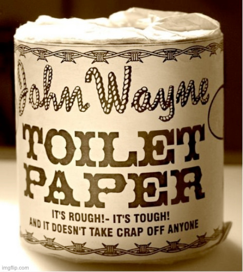 public restroom toilet paper be like | image tagged in chuck norris | made w/ Imgflip meme maker
