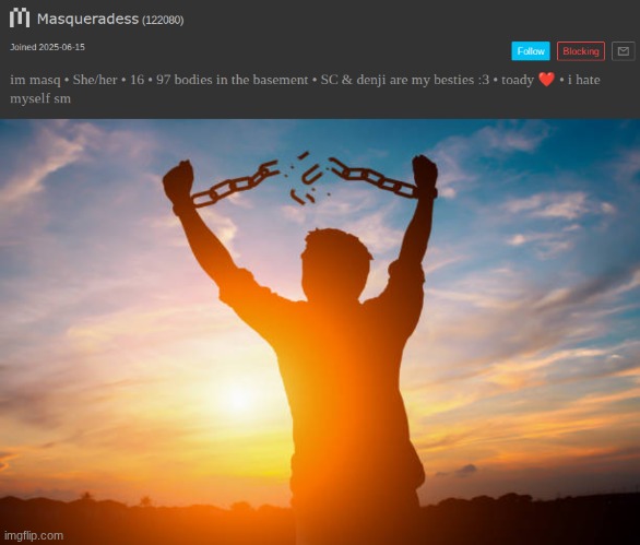 image tagged in broken shackles | made w/ Imgflip meme maker