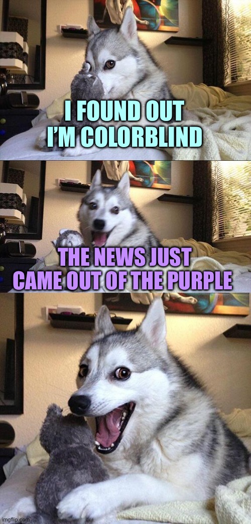 Bad Pun Dog | I FOUND OUT I’M COLORBLIND; THE NEWS JUST CAME OUT OF THE PURPLE | image tagged in memes,bad pun dog | made w/ Imgflip meme maker