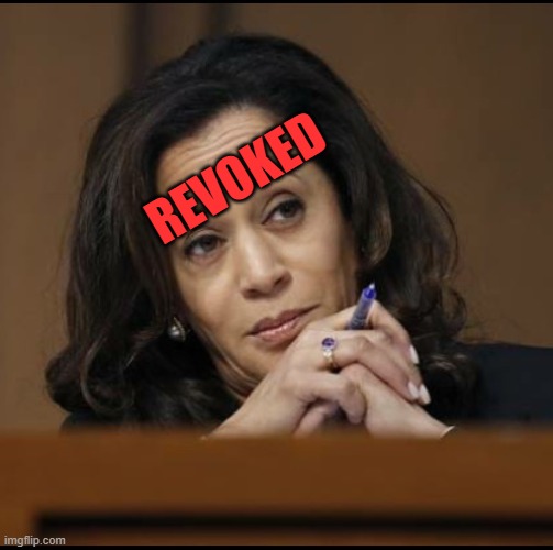 Kamala Harris  | REVOKED | image tagged in kamala harris | made w/ Imgflip meme maker
