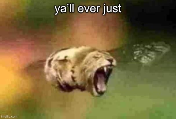 . | ya’ll ever just | image tagged in lion bee | made w/ Imgflip meme maker