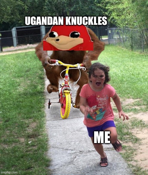 Orangutan chasing girl on a tricycle | UGANDAN KNUCKLES; ME | image tagged in orangutan chasing girl on a tricycle,ugandan knuckles | made w/ Imgflip meme maker