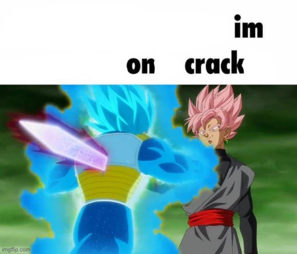 /j | image tagged in uhh idc im an awesome cracker,crack | made w/ Imgflip meme maker