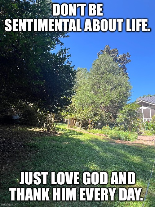 God is Good | DON’T BE SENTIMENTAL ABOUT LIFE. JUST LOVE GOD AND THANK HIM EVERY DAY. | image tagged in god,love,nature,thankfulness,jeaus | made w/ Imgflip meme maker
