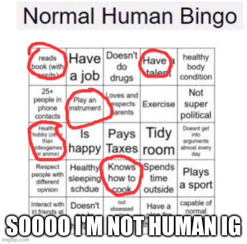 ..... ok judgy bingo thing | SOOOO I'M NOT HUMAN IG | image tagged in normal human bingo | made w/ Imgflip meme maker