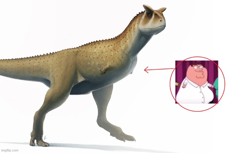 silly guy | made w/ Imgflip meme maker