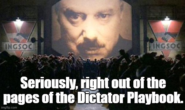 Big brother  | Seriously, right out of the pages of the Dictator Playbook. | image tagged in big brother | made w/ Imgflip meme maker