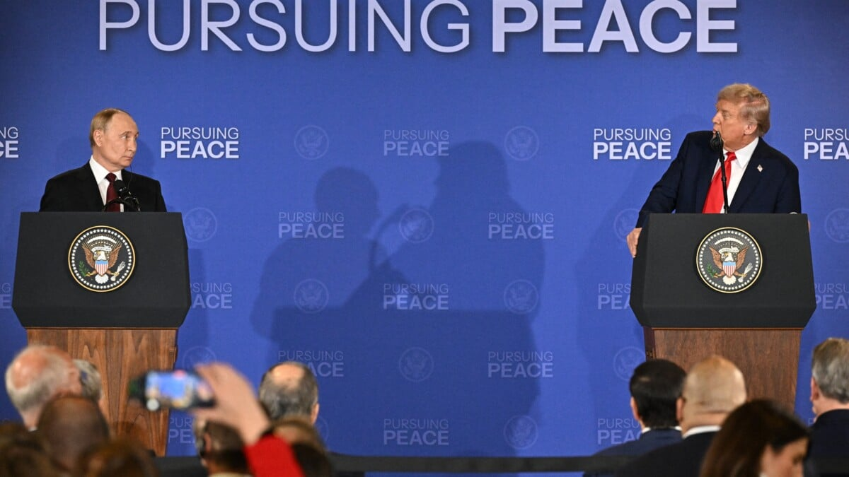 trump Blank Meme Template