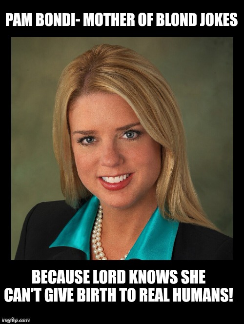 Double Long Black Template | PAM BONDI- MOTHER OF BLOND JOKES; BECAUSE LORD KNOWS SHE CAN'T GIVE BIRTH TO REAL HUMANS! | image tagged in double long black template | made w/ Imgflip meme maker